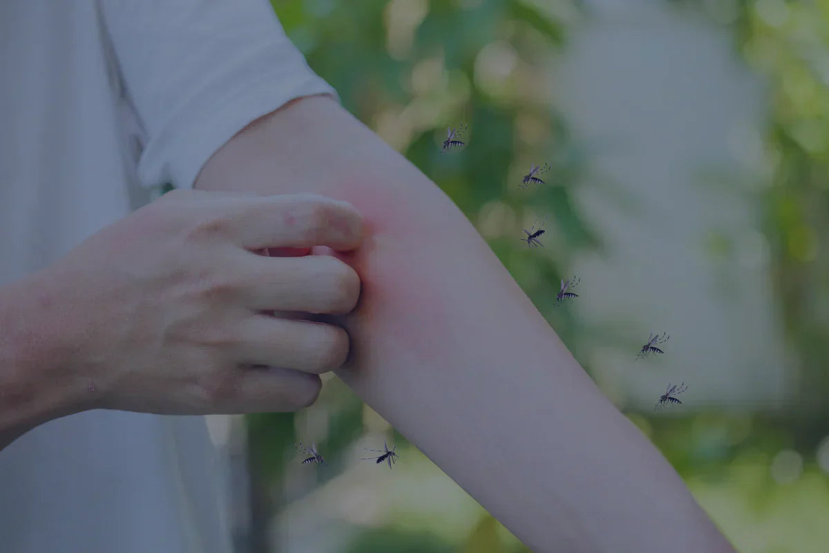 Alerta por el virus del Nilo: una mujer fallece tras picadura de mosquito