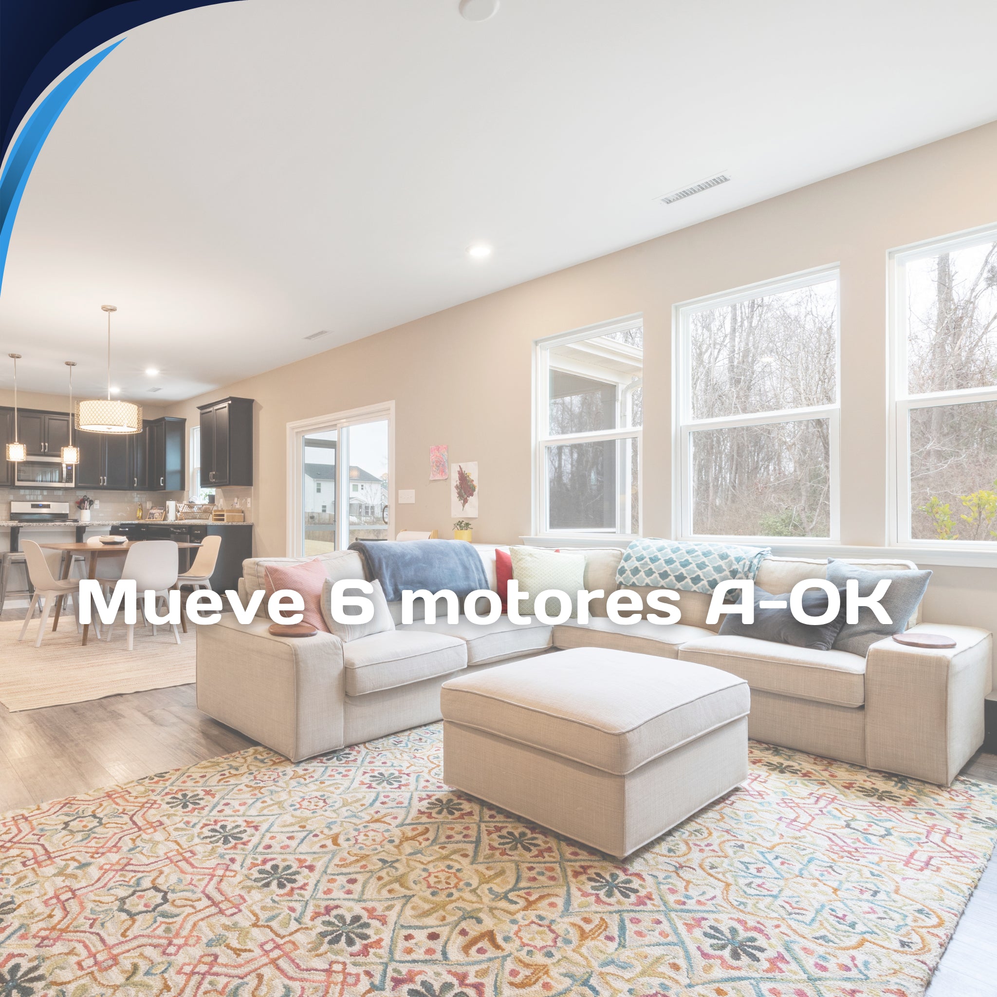 Mando emisor AOK Premium 6 canales